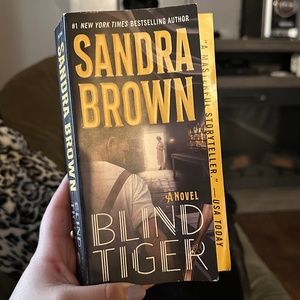 Blind Tiger by Sandra Brown novel